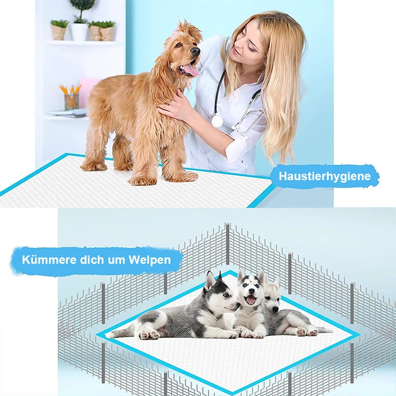 Welpenunterlagen 100er-Pack – ultraabsorbierend & auslaufsicher, für Hunde & Katzen