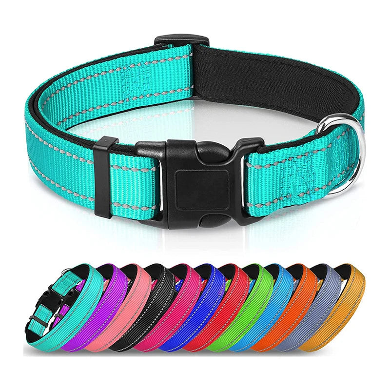 Reflektierendes Hundehalsband – gepolstert mit Neopren, verstellbar, mit Doppel-D-Ring