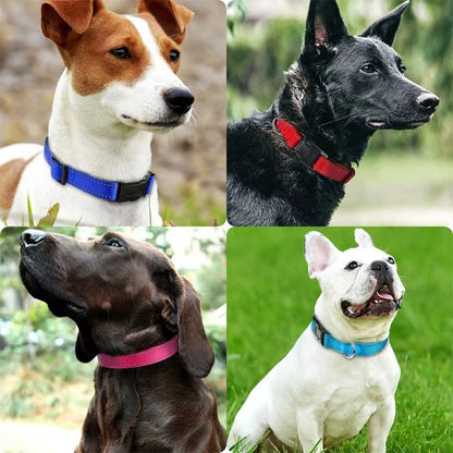 Reflektierendes Hundehalsband – gepolstert mit Neopren, verstellbar, mit Doppel-D-Ring
