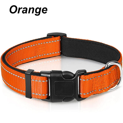 Reflektierendes Hundehalsband – gepolstert mit Neopren, verstellbar, mit Doppel-D-Ring
