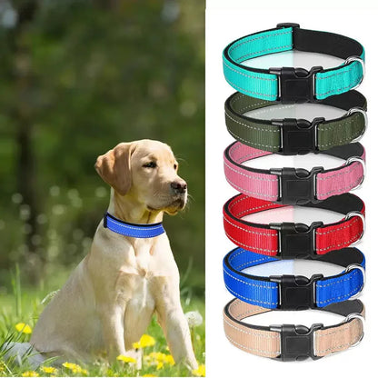 Reflektierendes Hundehalsband – gepolstert mit Neopren, verstellbar, mit Doppel-D-Ring