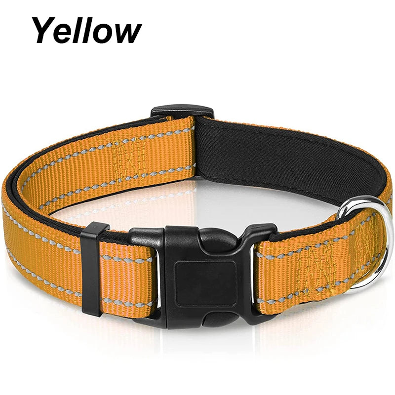 Reflektierendes Hundehalsband – gepolstert mit Neopren, verstellbar, mit Doppel-D-Ring