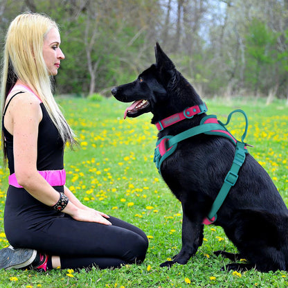 No-Pull Hundegeschirr mit verstellbarem Brustgurt – atmungsaktiv, für kleine, mittlere & große Hunde