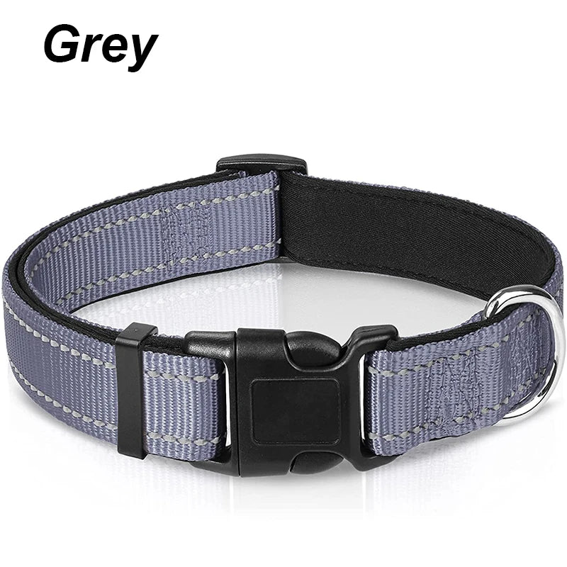 Reflektierendes Hundehalsband – gepolstert mit Neopren, verstellbar, mit Doppel-D-Ring