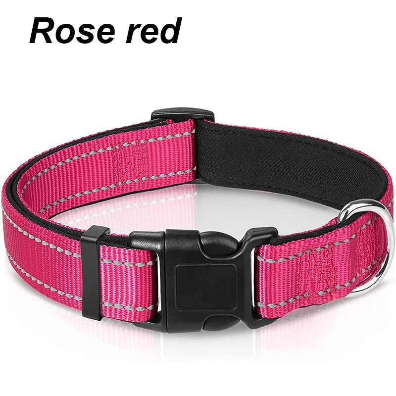 Reflektierendes Hundehalsband – gepolstert mit Neopren, verstellbar, mit Doppel-D-Ring