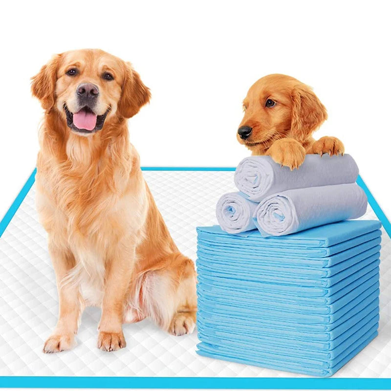 Welpenunterlagen 100er-Pack – ultraabsorbierend & auslaufsicher, für Hunde & Katzen