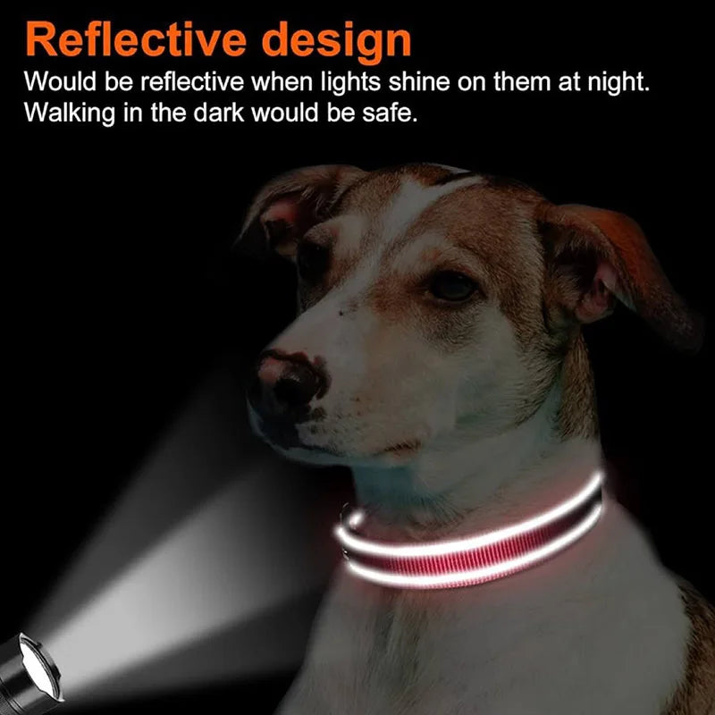 Reflektierendes Hundehalsband – gepolstert mit Neopren, verstellbar, mit Doppel-D-Ring