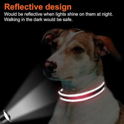 Reflektierendes Hundehalsband – gepolstert mit Neopren, verstellbar, mit Doppel-D-Ring