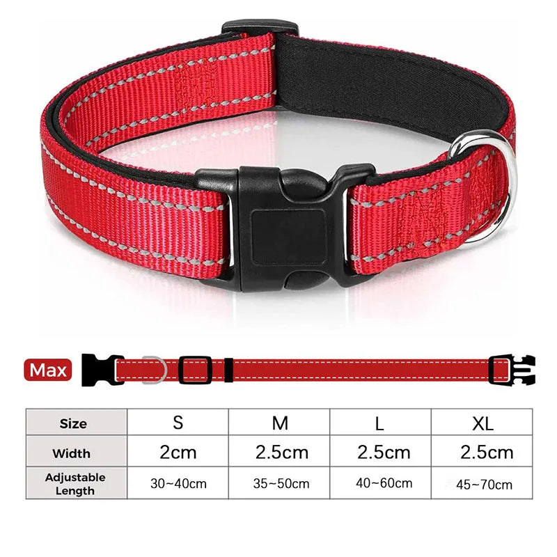 Reflektierendes Hundehalsband – gepolstert mit Neopren, verstellbar, mit Doppel-D-Ring