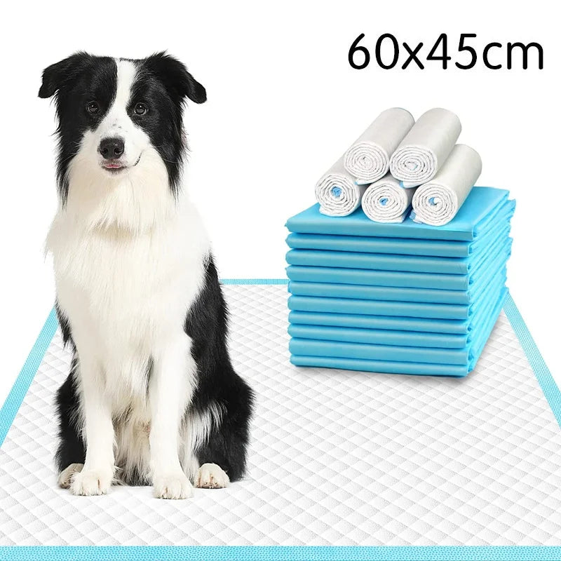 Welpenunterlagen 100er-Pack – ultraabsorbierend & auslaufsicher, für Hunde & Katzen