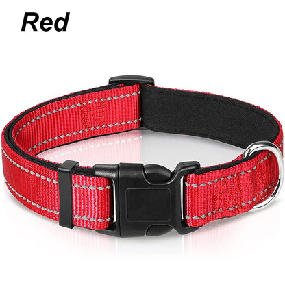 Reflektierendes Hundehalsband – gepolstert mit Neopren, verstellbar, mit Doppel-D-Ring