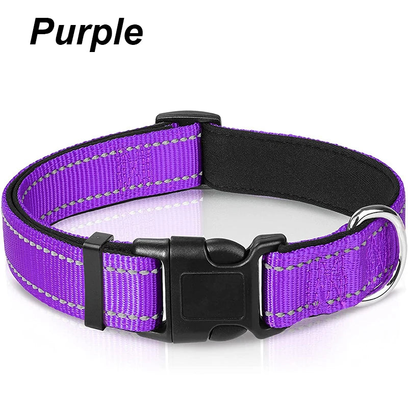 Reflektierendes Hundehalsband – gepolstert mit Neopren, verstellbar, mit Doppel-D-Ring