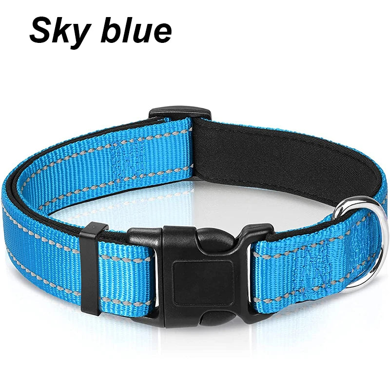 Reflektierendes Hundehalsband – gepolstert mit Neopren, verstellbar, mit Doppel-D-Ring