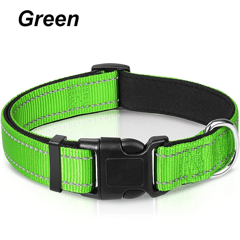 Reflektierendes Hundehalsband – gepolstert mit Neopren, verstellbar, mit Doppel-D-Ring