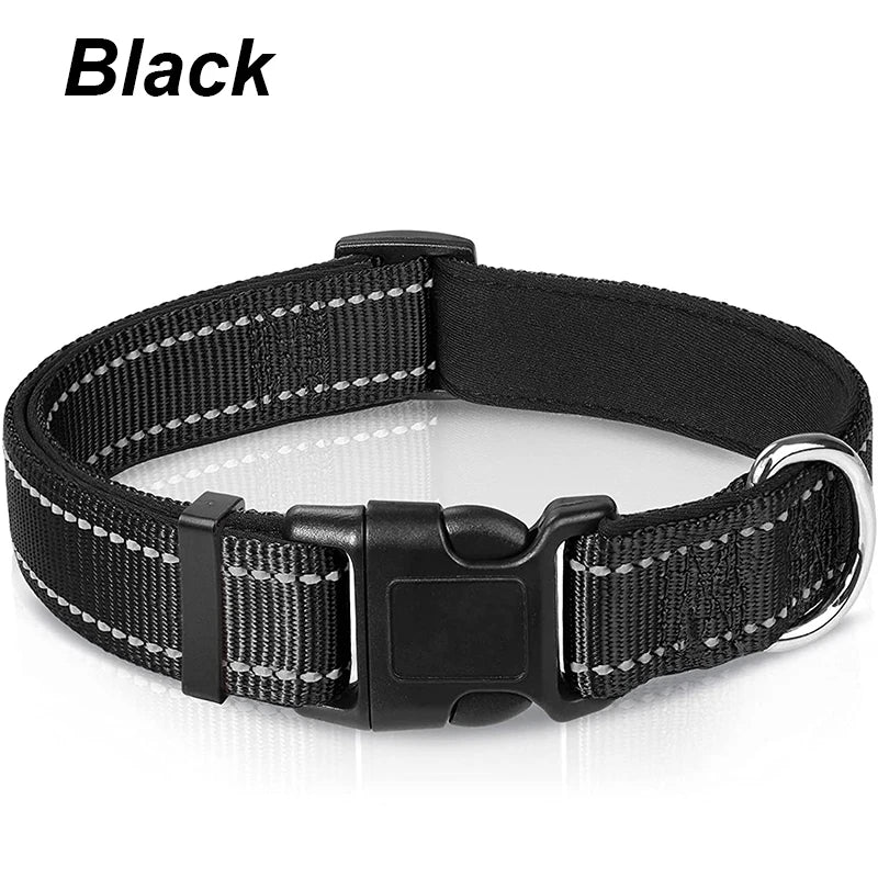 Reflektierendes Hundehalsband – gepolstert mit Neopren, verstellbar, mit Doppel-D-Ring