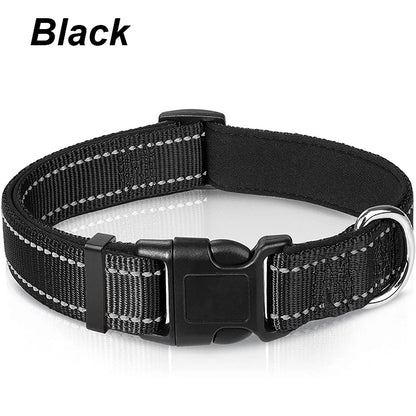 Reflektierendes Hundehalsband – gepolstert mit Neopren, verstellbar, mit Doppel-D-Ring